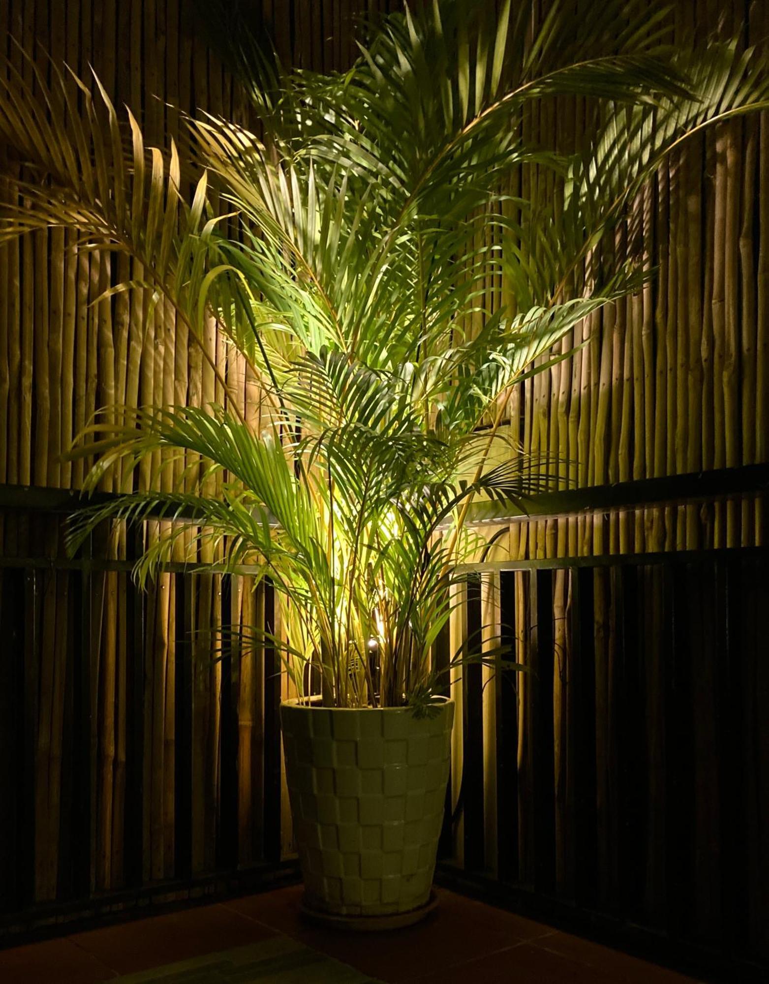 Lotus Haven Villa Siem Reap Exteriör bild